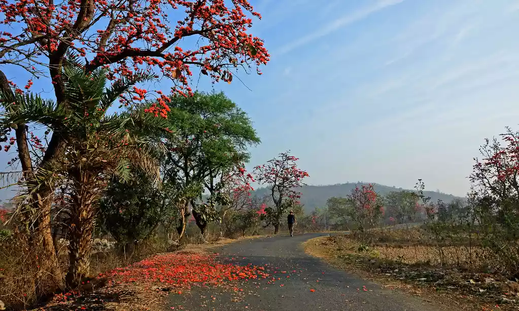 Odisha Climate