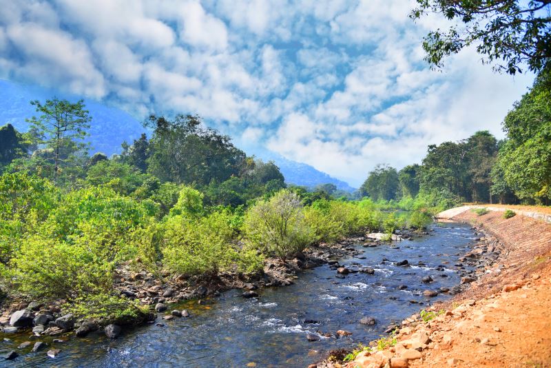 Similipal National Park, Mayurbhanj, Odisha (Orissa).